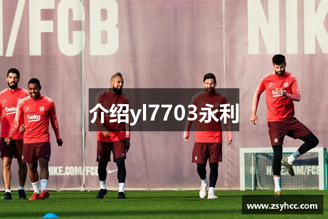 介绍yl7703永利